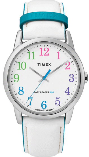 TIMEX Easy Reader Color Pop 38mm Leather Strap Watch TW2T28400